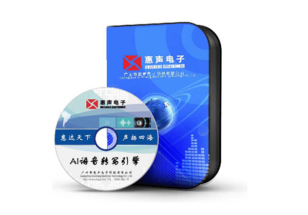  Ai語音轉(zhuǎn)寫引擎 VS-3000W